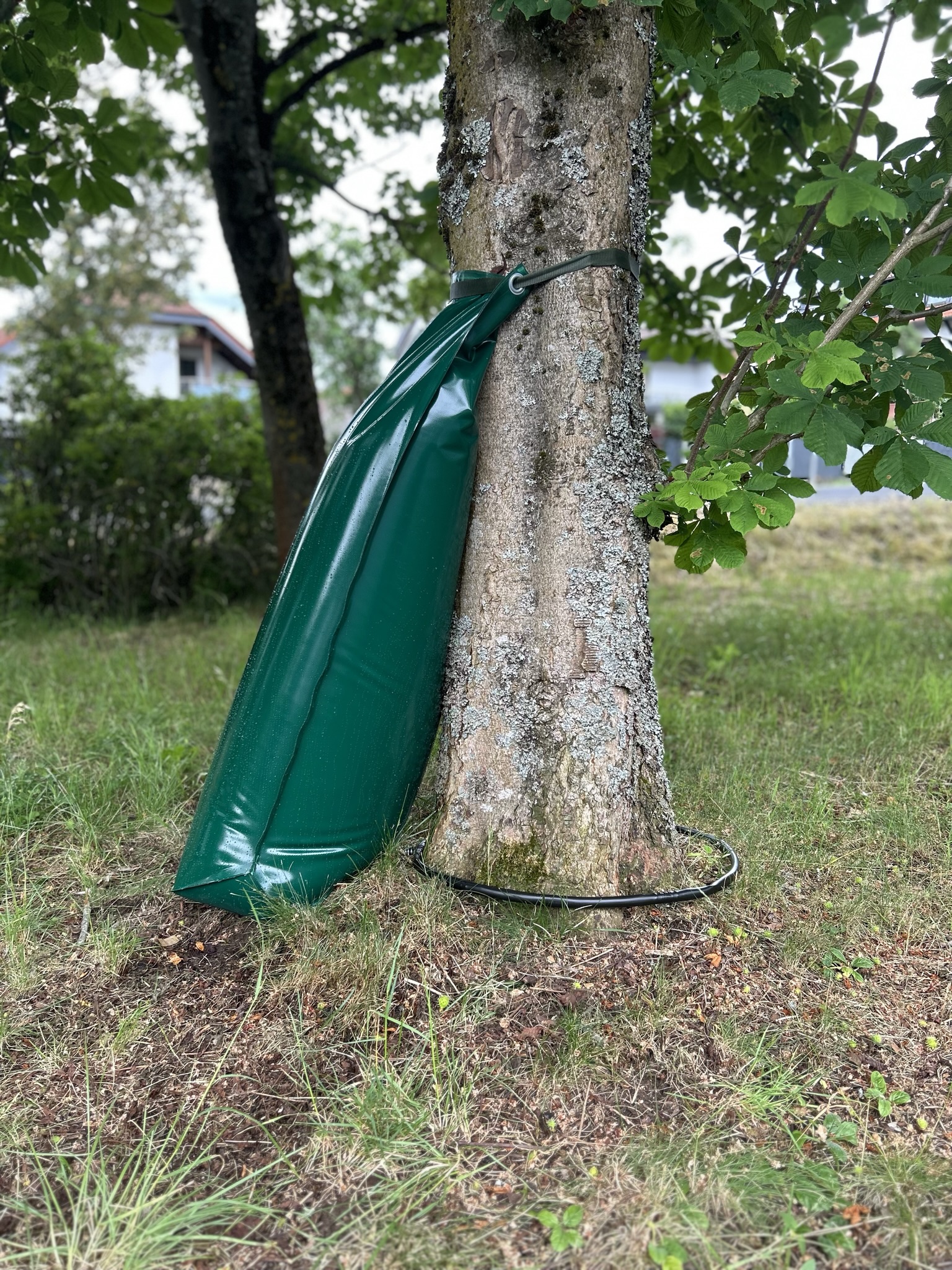 Ahgsup PVC 15 Gallonen Baumbewässerungsbeutel Ringförmiger Tropfbewässerungswasserbeutel Zum Pflanzen (Braun Ahgsup PVC 15 Gallonen Baumbewässerungsbeutel Ringförmiger Tropfbewässerungswasserbeutel Zum Pflanzen (Braun