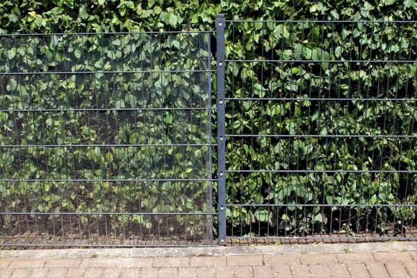 Windschutzstreifen PVC TRANSPARENT individuell