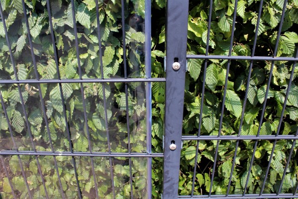 Windschutzstreifen PVC TRANSPARENT individuell